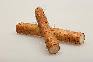 《生化危机9》为何回归浣熊市？想要重拾之前的故事线